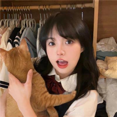 低智商犯罪
